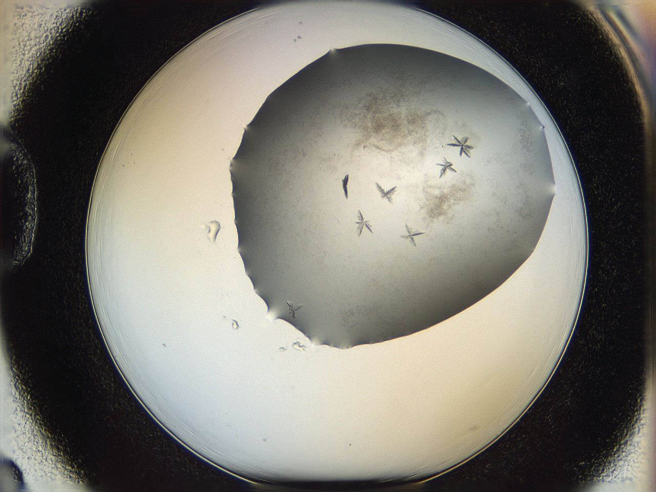 06a9_D3_ImagerDefaults_6.jpg