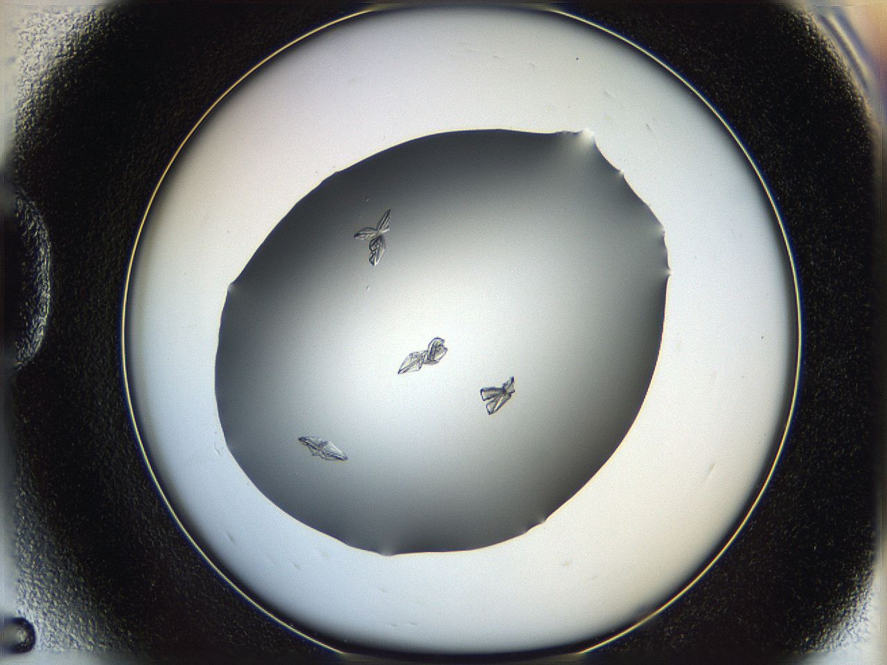 06a9_D5_ImagerDefaults_7.jpg