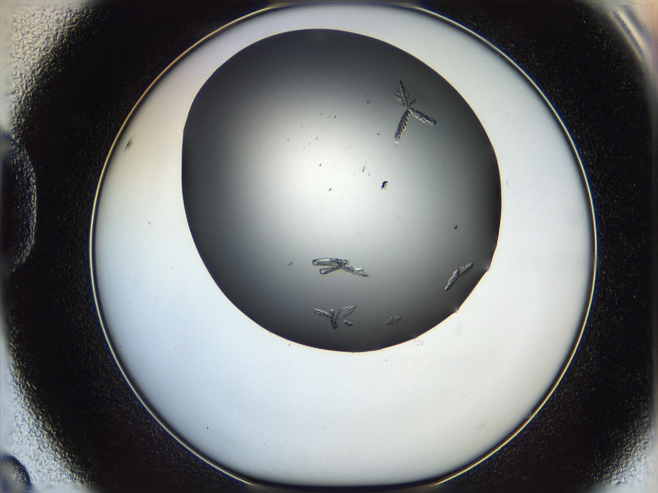 06a9_D8_ImagerDefaults_7.jpg