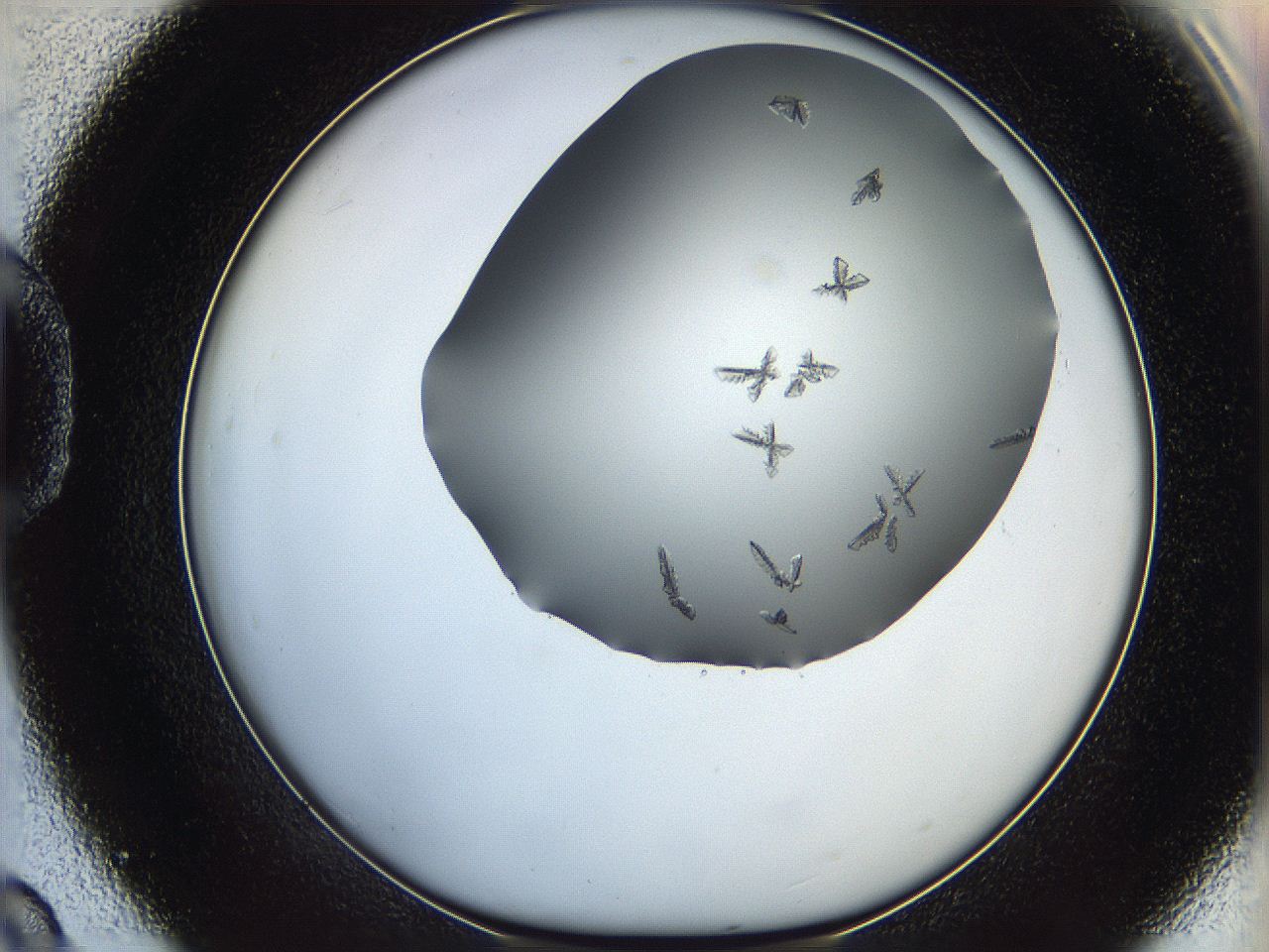 06a9_D9_ImagerDefaults_6.jpg