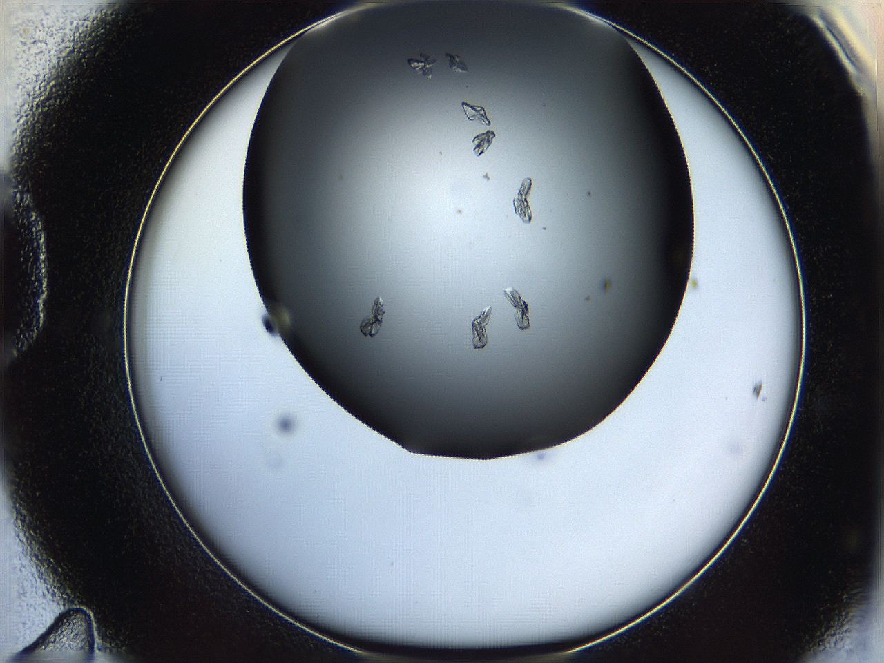 06a9_D11_ImagerDefaults_7.jpg