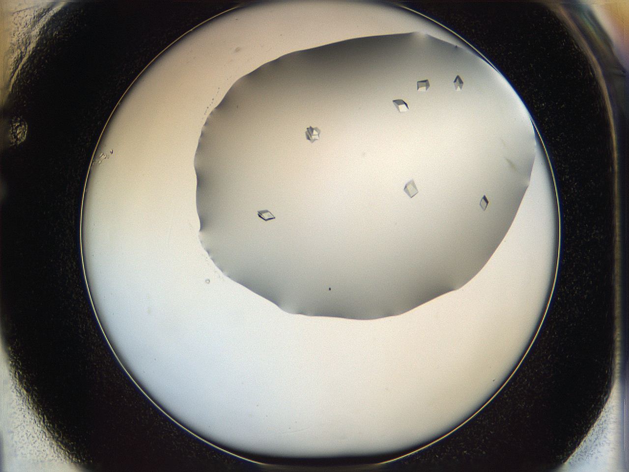 06a9_F1_ImagerDefaults_9.jpg