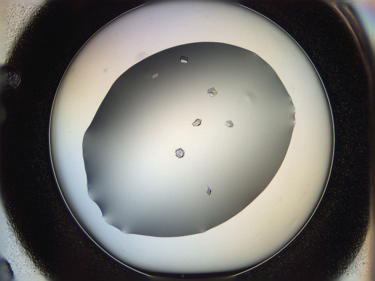 06a9_F3_ImagerDefaults_8.jpg
