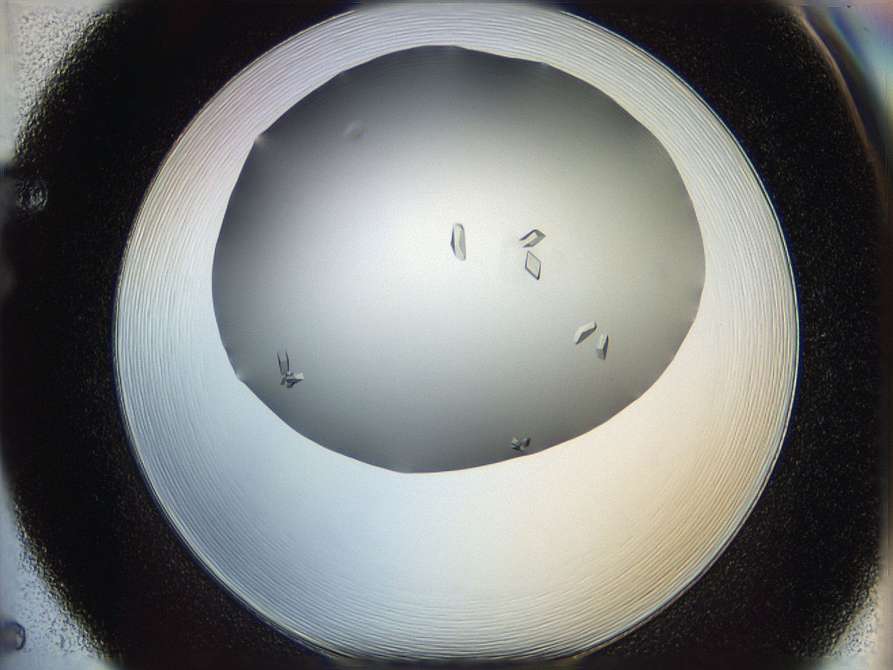 06a9_F5_ImagerDefaults_9.jpg