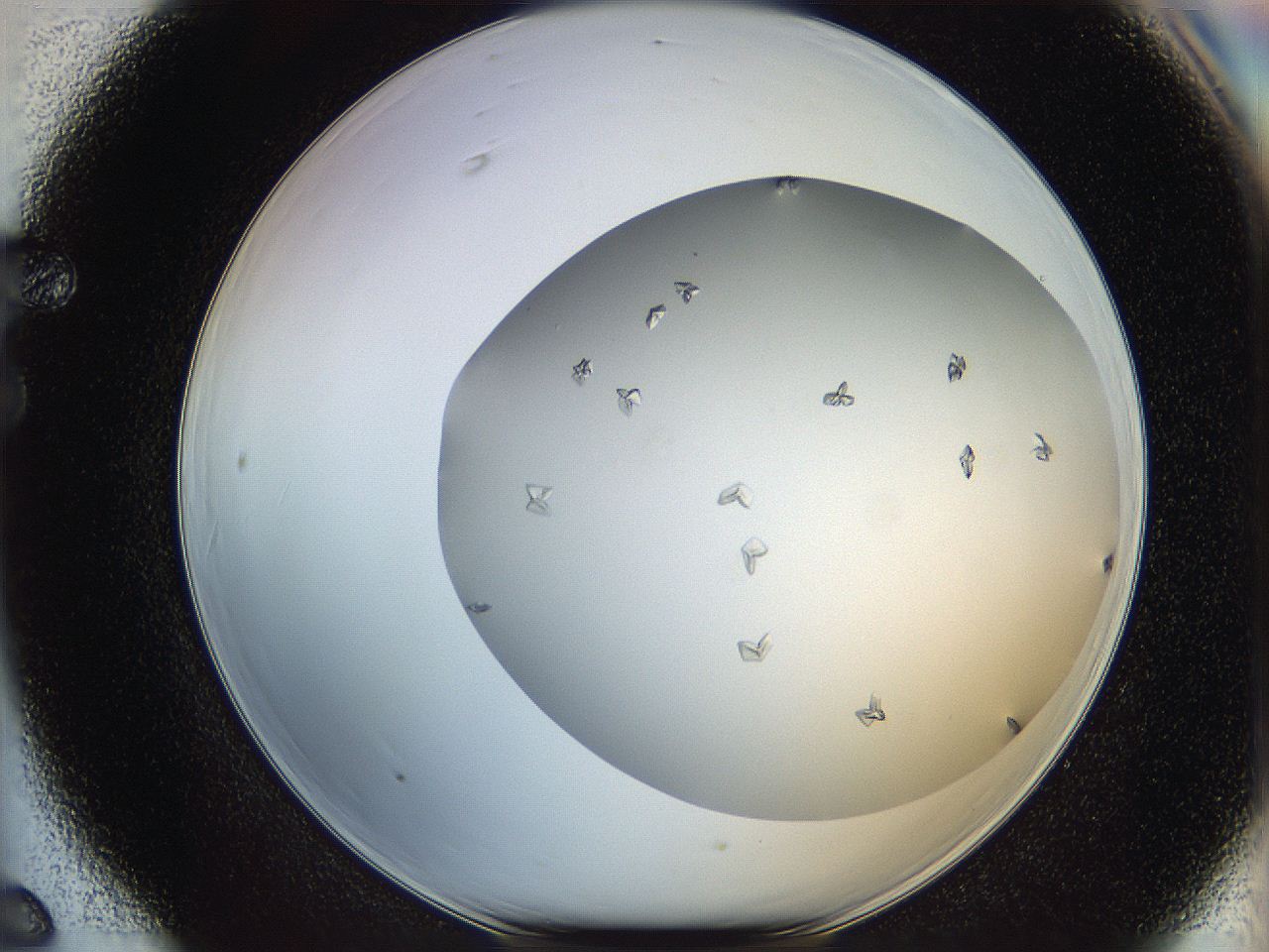 06a9_F6_ImagerDefaults_7.jpg