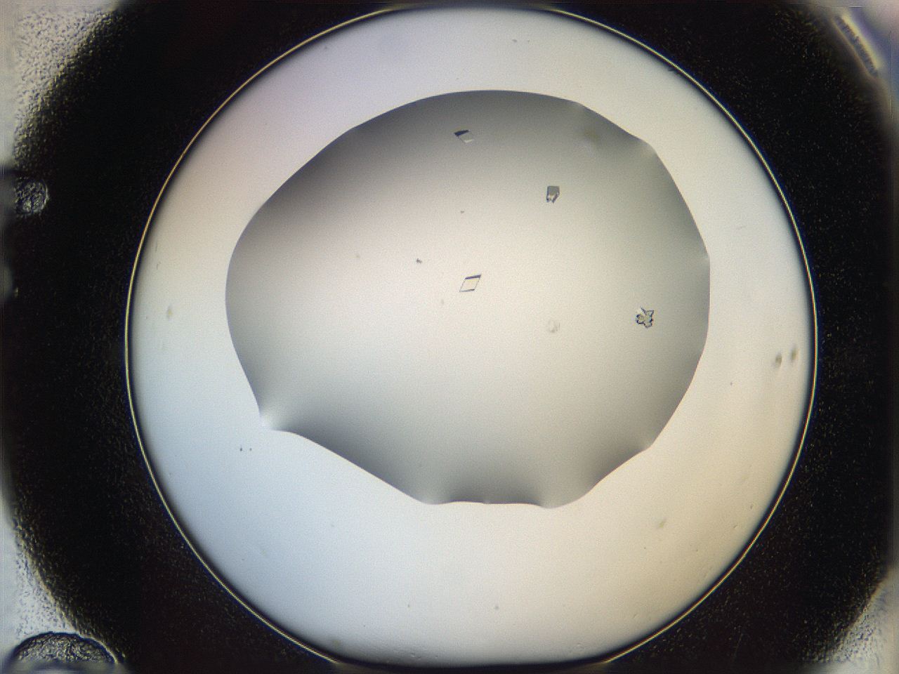 06a9_F10_ImagerDefaults_8.jpg