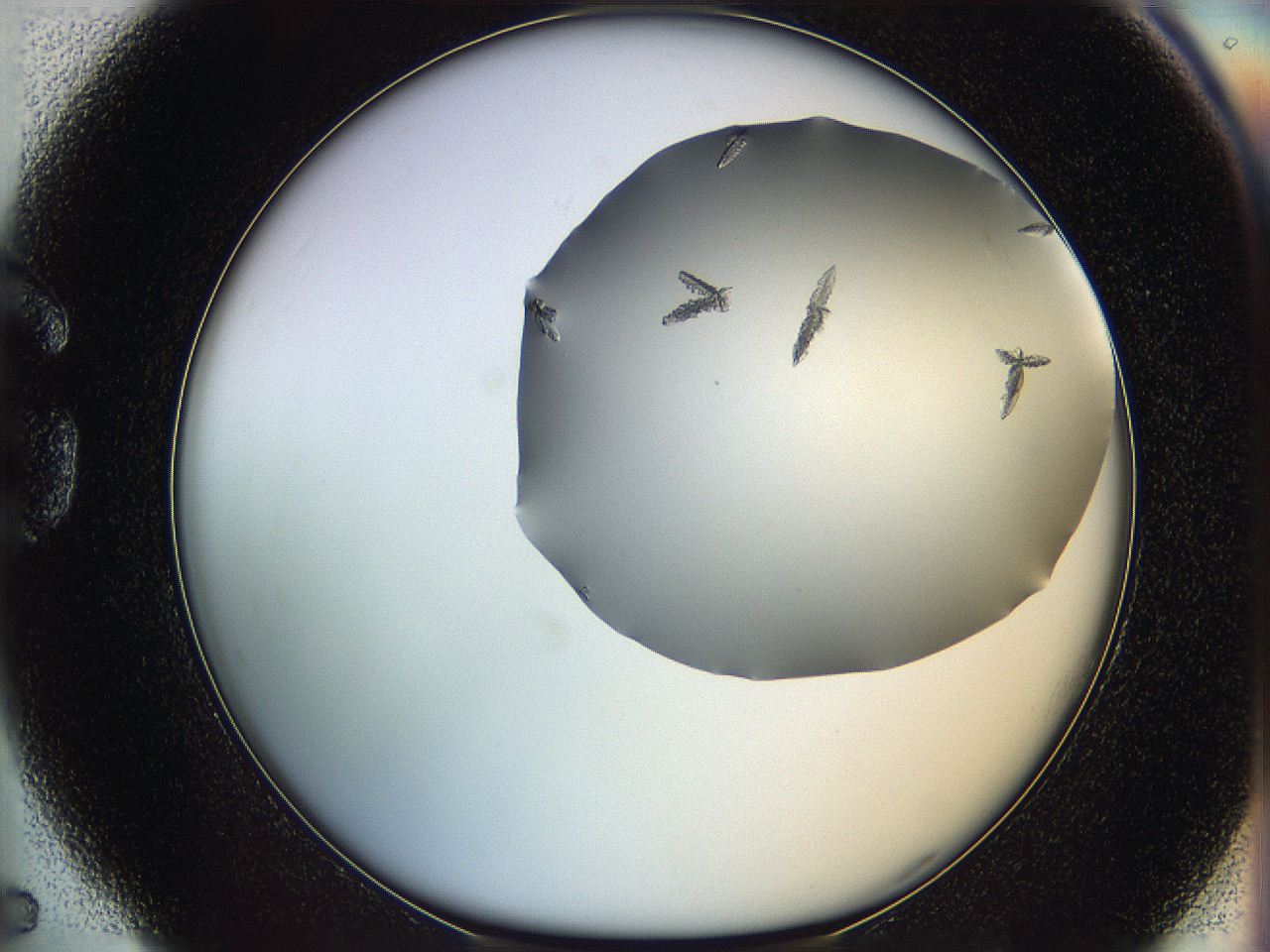 06a9_G5_ImagerDefaults_6.jpg