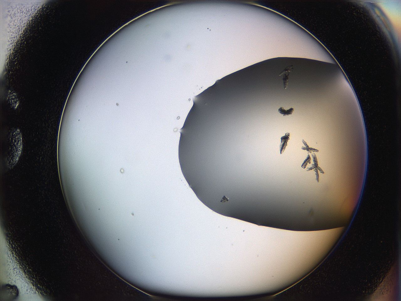 06a9_G7_ImagerDefaults_6.jpg