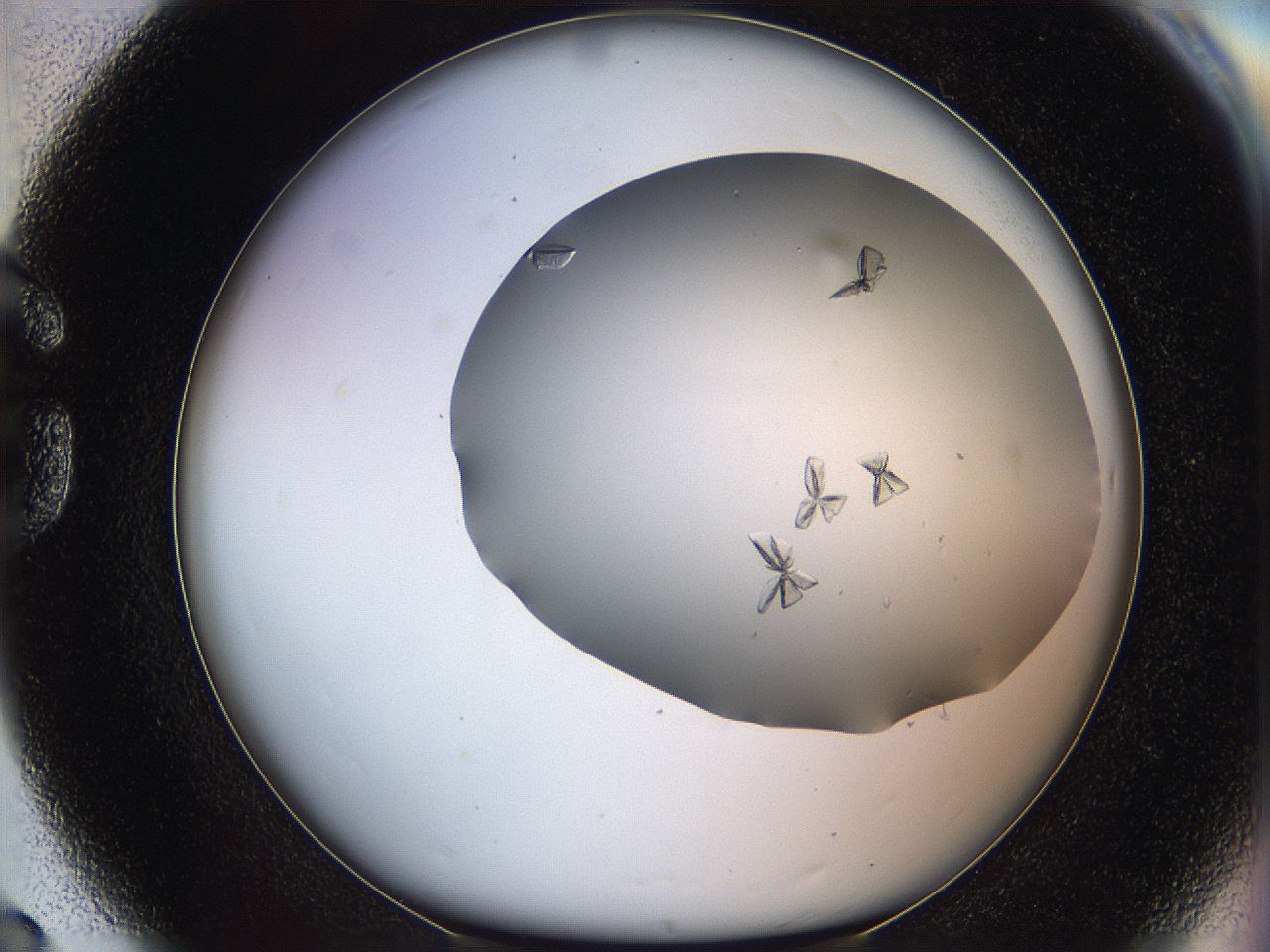 06a9_G8_ImagerDefaults_7.jpg