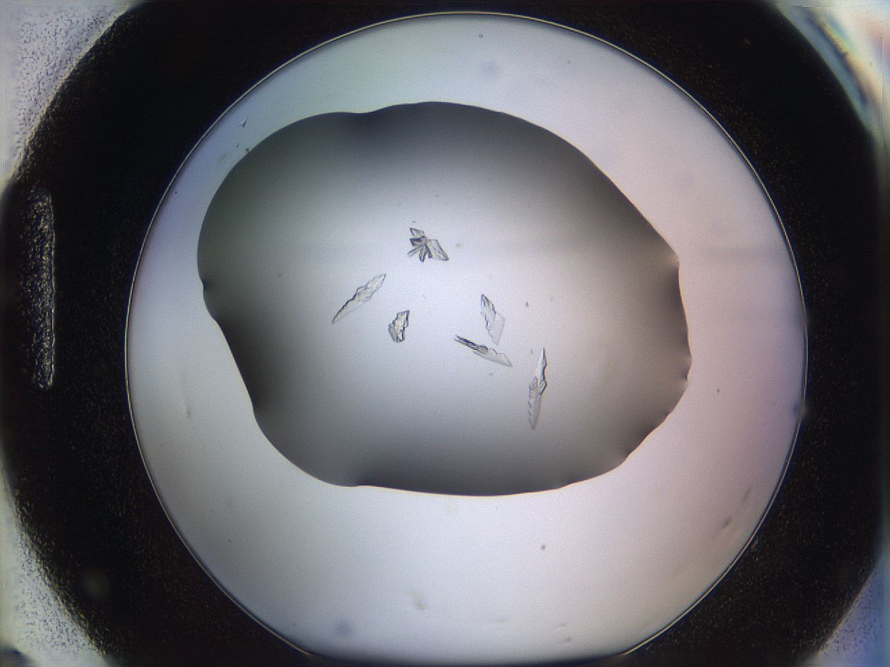 06a9_H8_ImagerDefaults_7.jpg