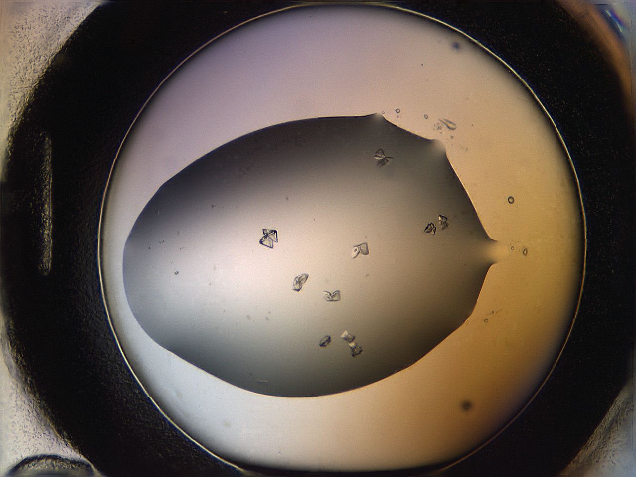 06a9_H12_ImagerDefaults_7.jpg