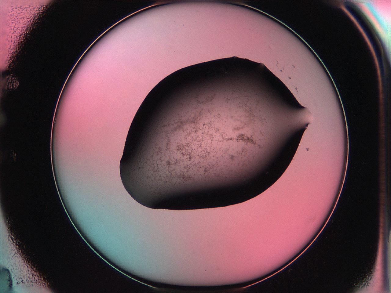 06ae_E4_ImagerDefaults_3.jpg