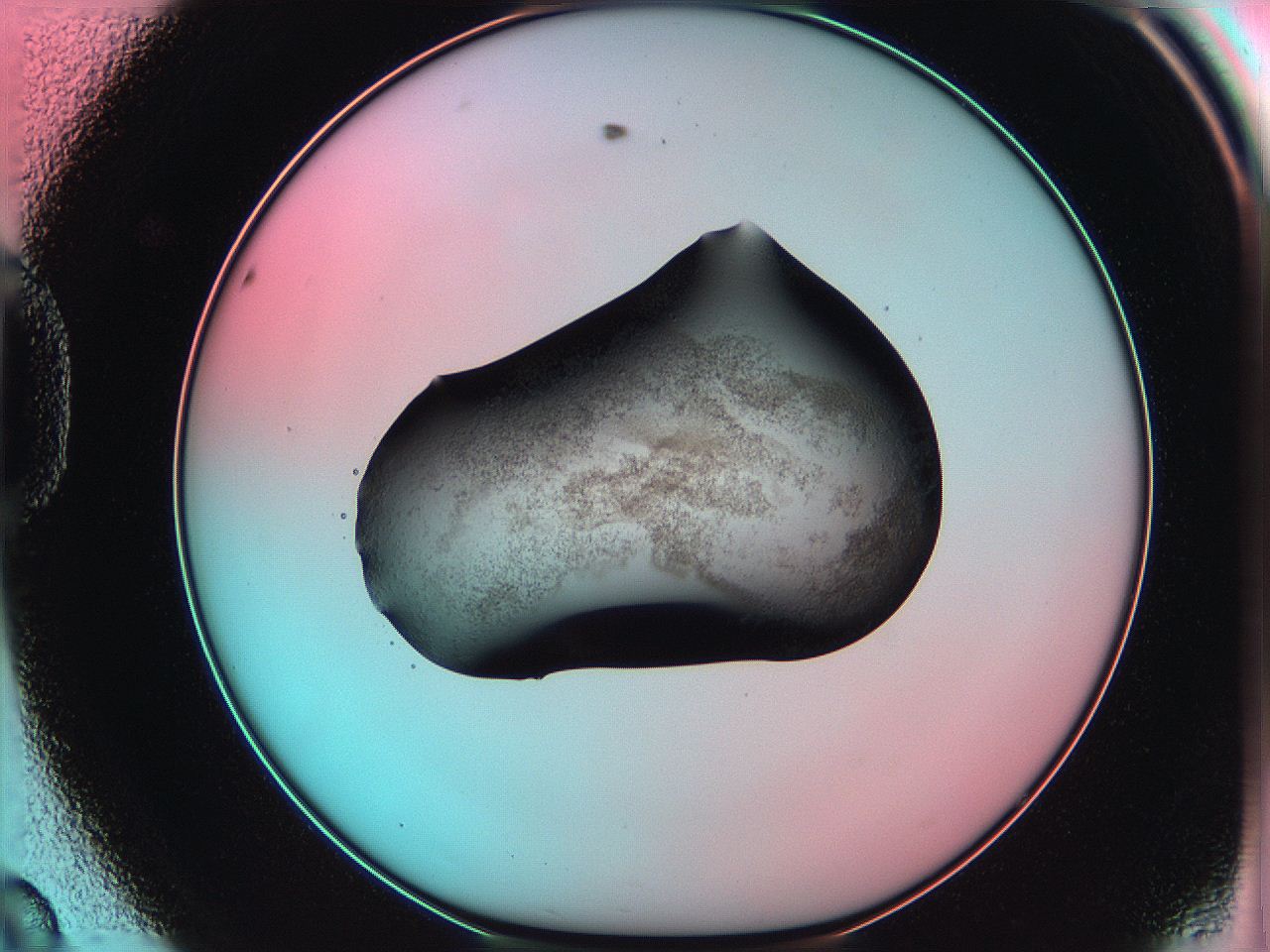 06ae_D8_ImagerDefaults_3.jpg