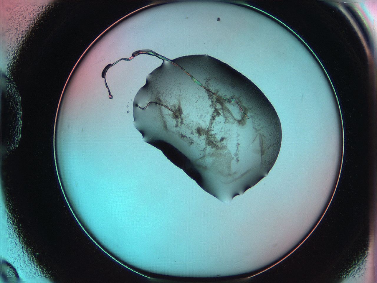 06ae_D9_ImagerDefaults_3.jpg