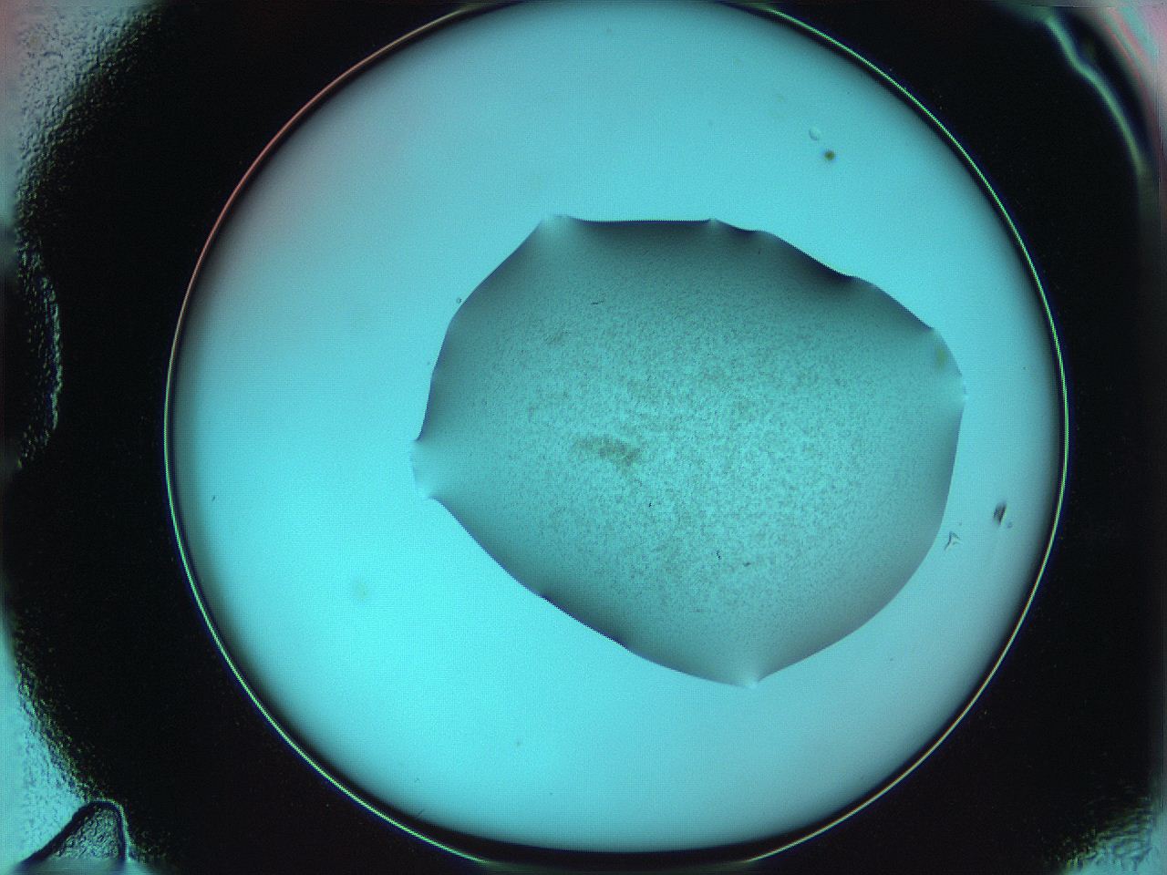 06ae_D11_ImagerDefaults_3.jpg