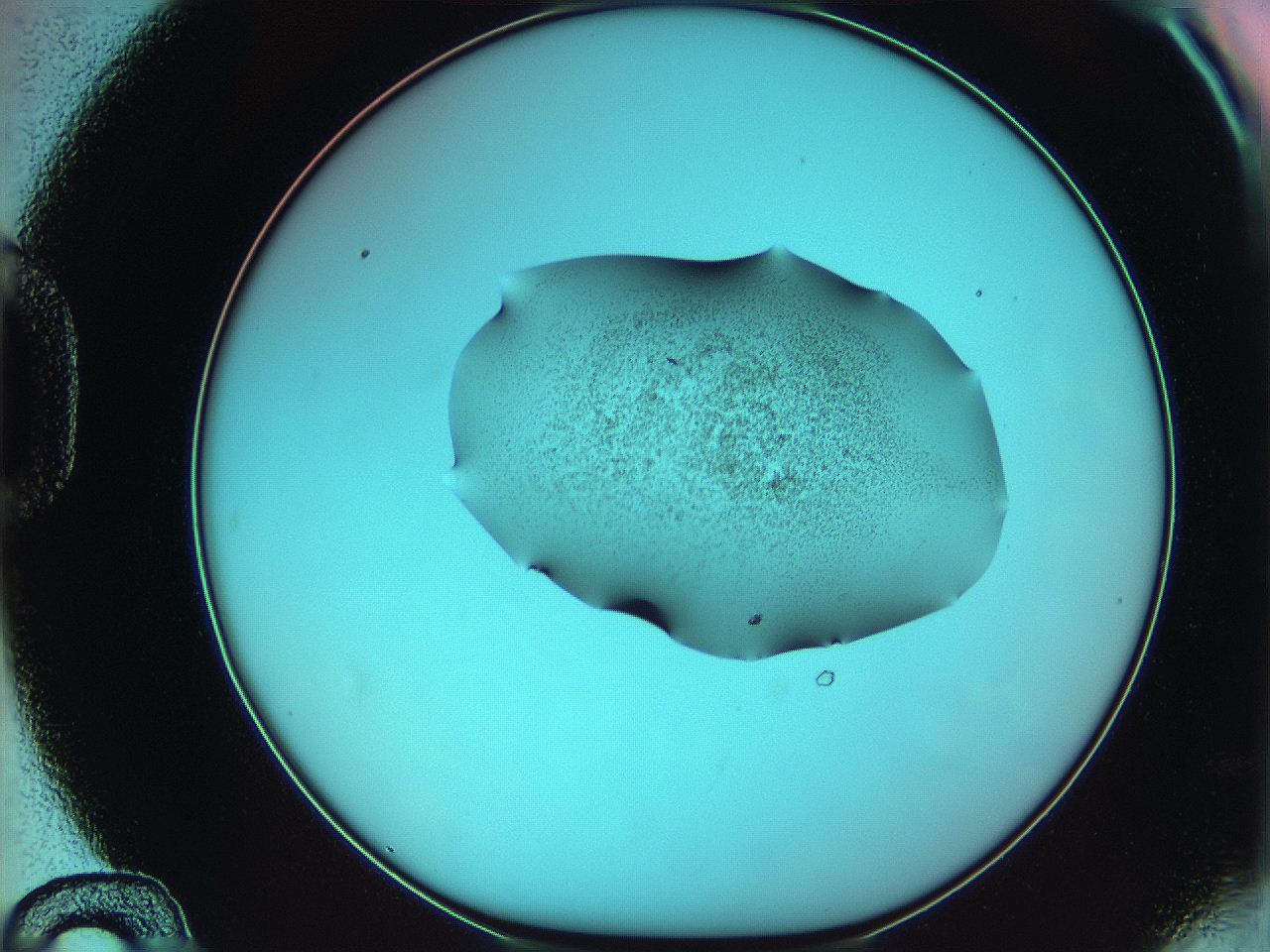 06ae_D12_ImagerDefaults_3.jpg