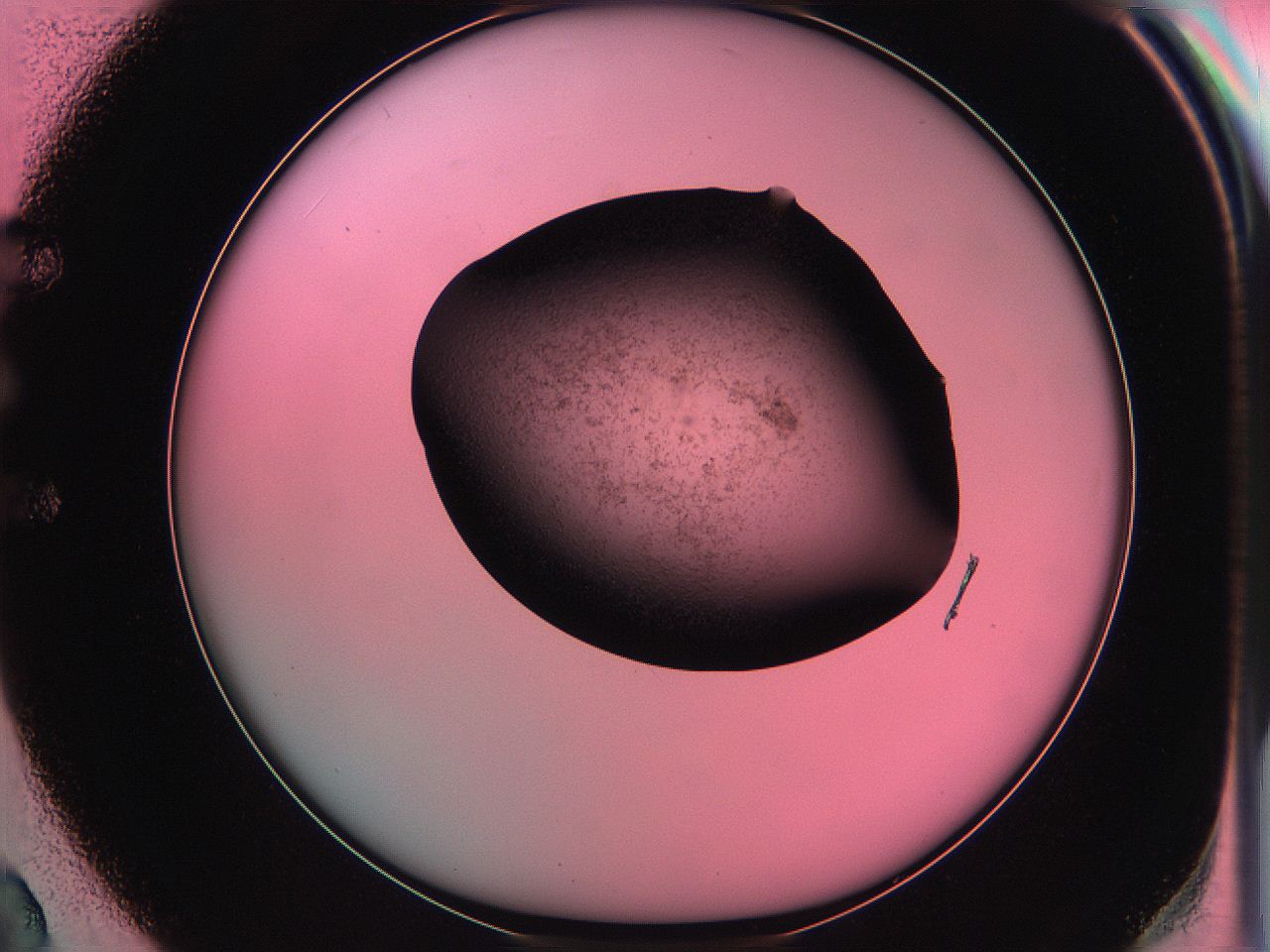 06ae_E2_ImagerDefaults_3.jpg