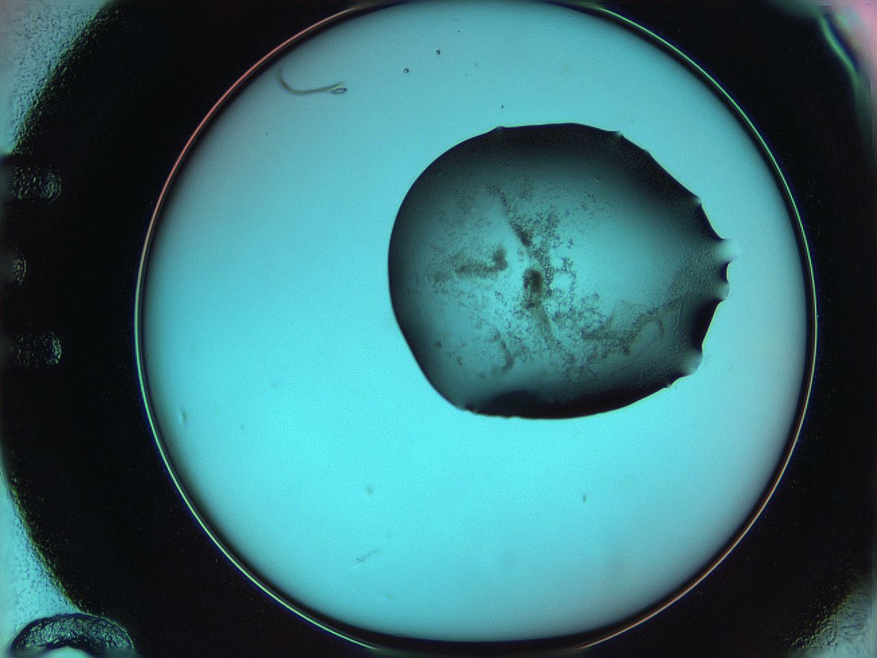 06ae_E12_ImagerDefaults_3.jpg