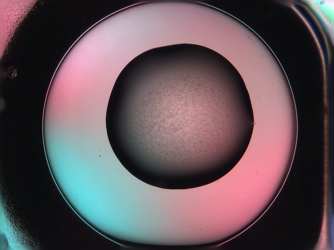 06ae_F4_ImagerDefaults_3.jpg