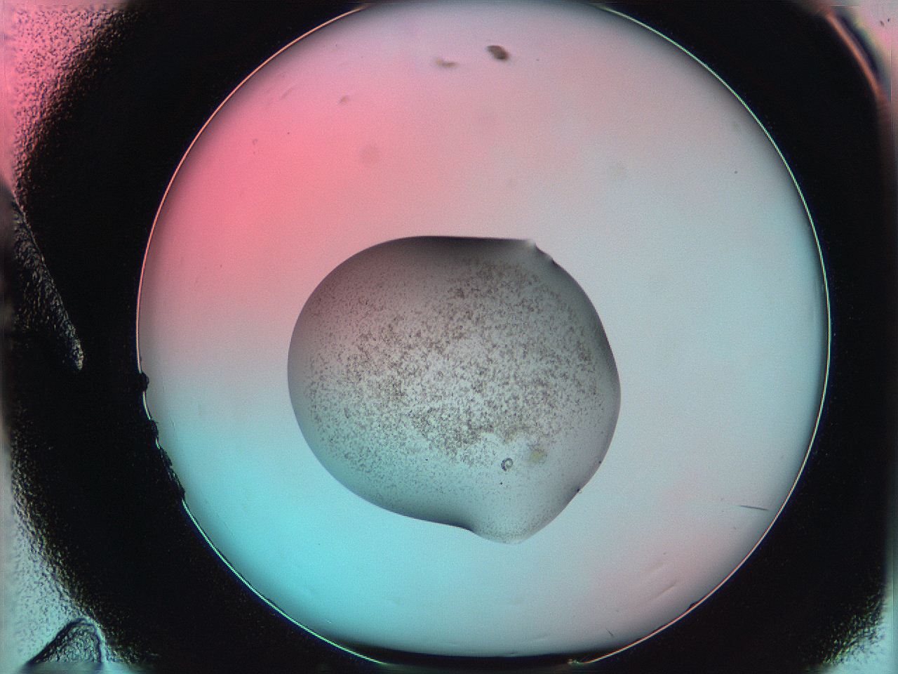06ae_A11_ImagerDefaults_3.jpg