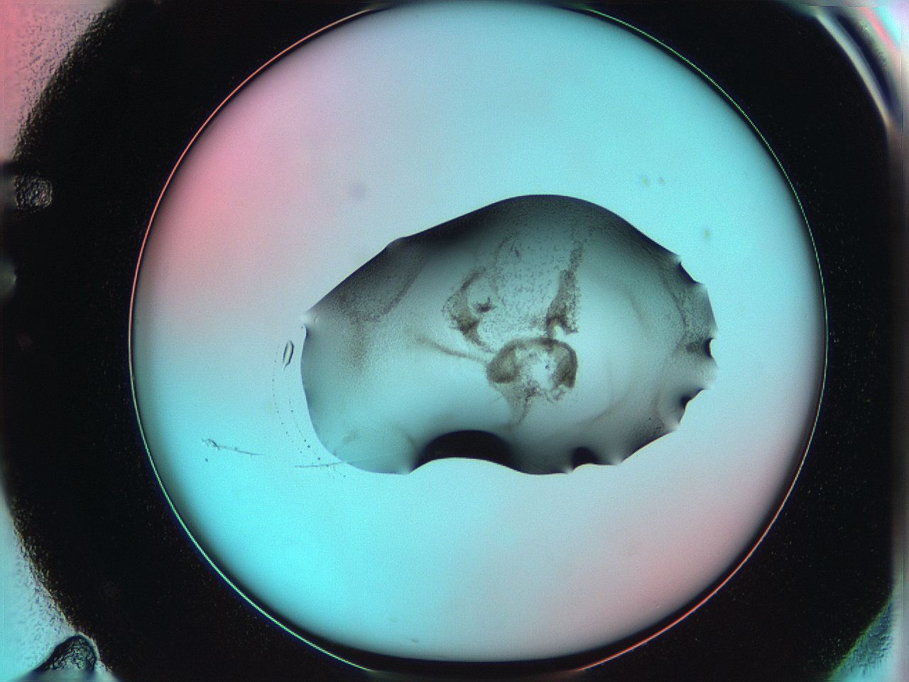 06ae_F11_ImagerDefaults_3.jpg