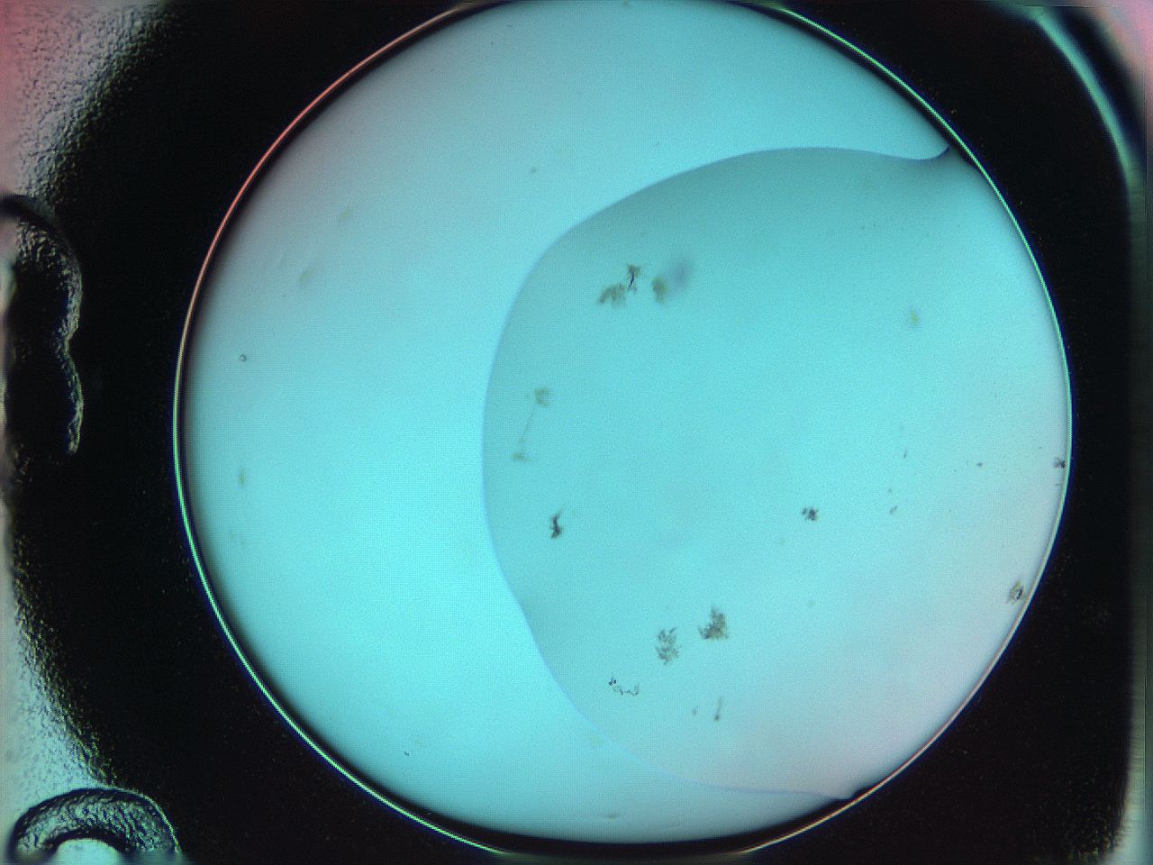 06ae_B12_ImagerDefaults_3.jpg