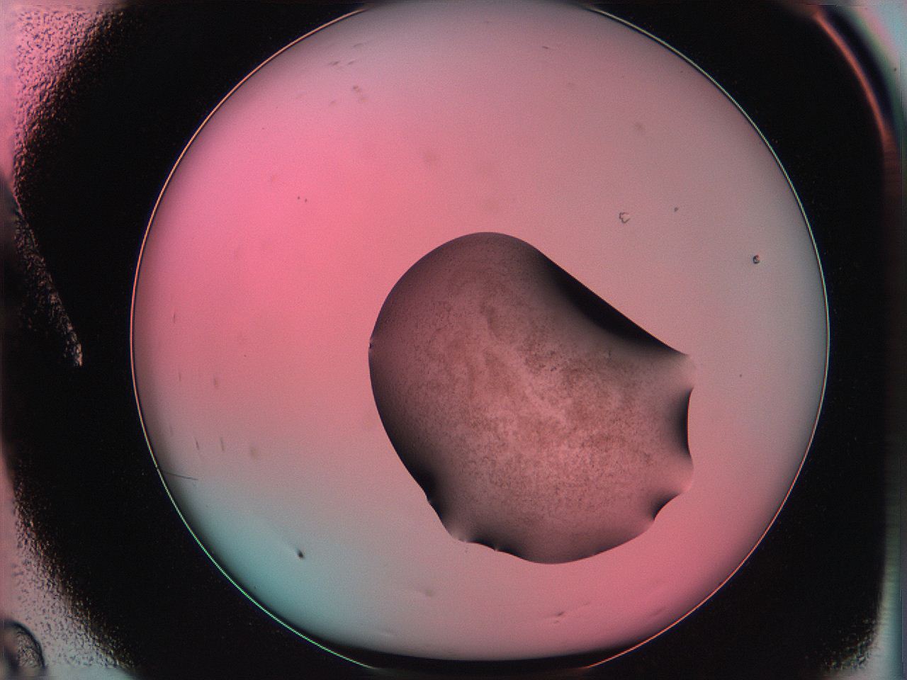 06ae_A8_ImagerDefaults_3.jpg