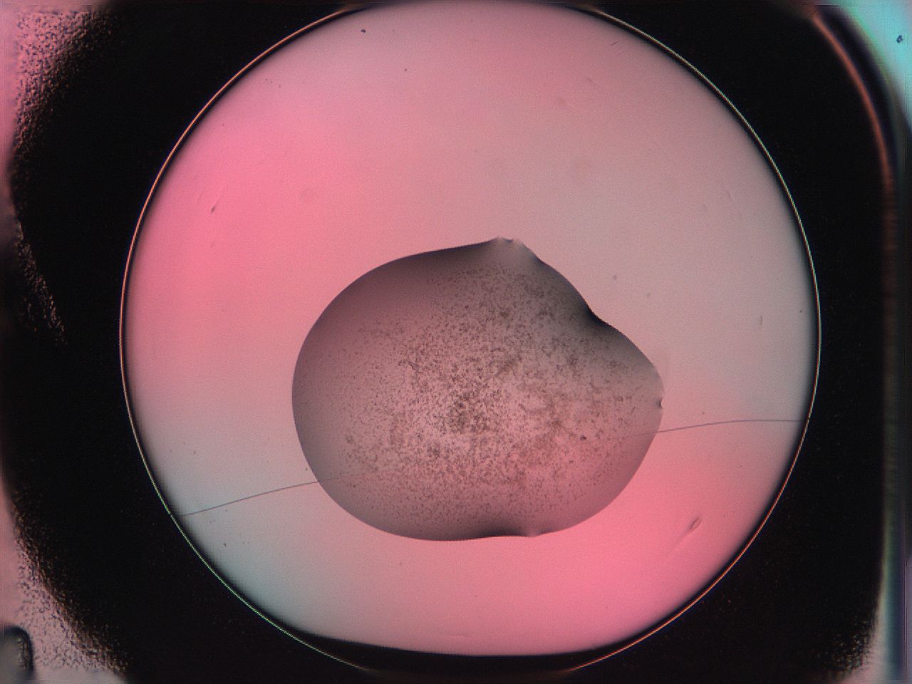 06ae_A4_ImagerDefaults_3.jpg