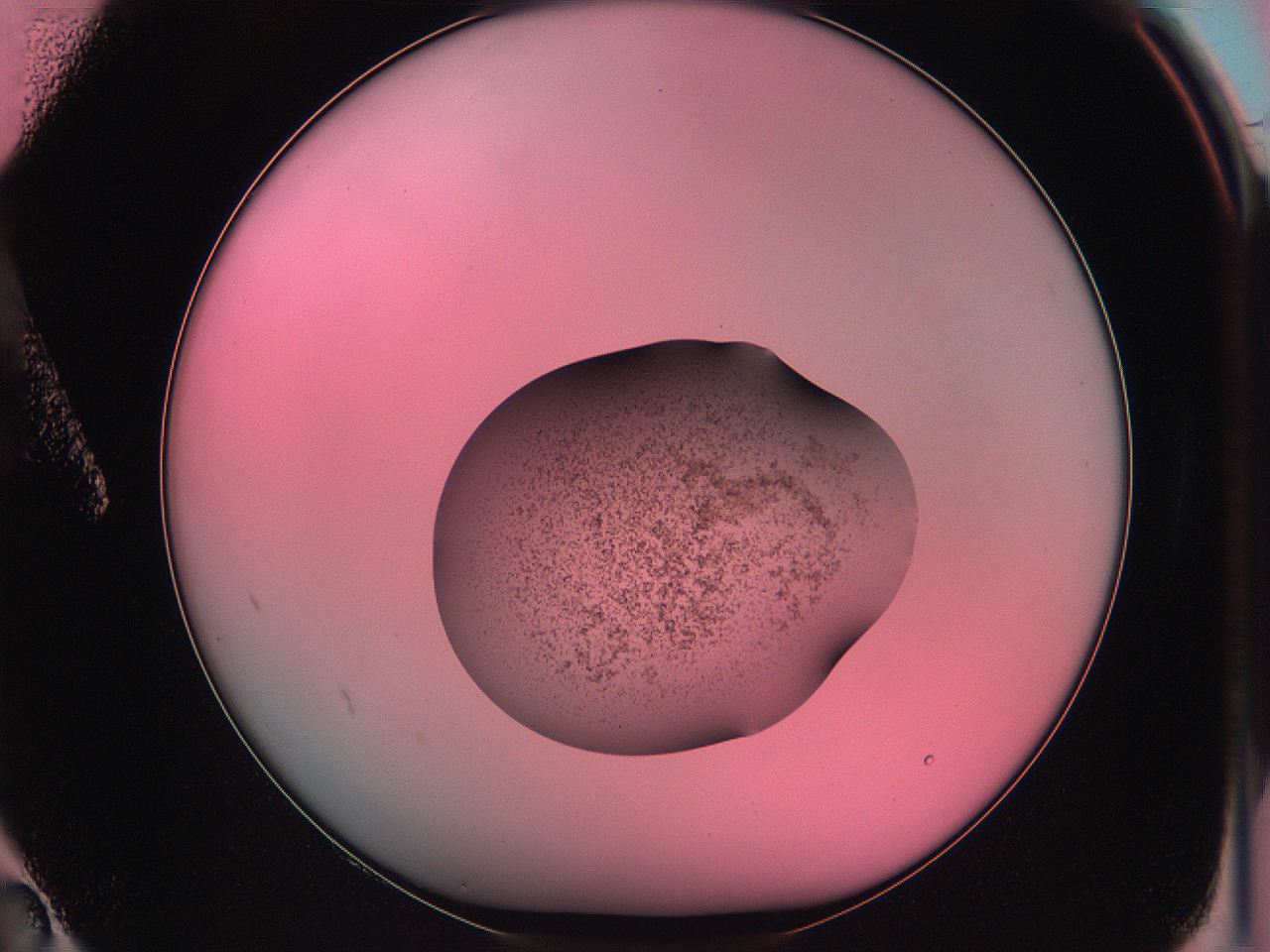 06ae_A2_ImagerDefaults_3.jpg