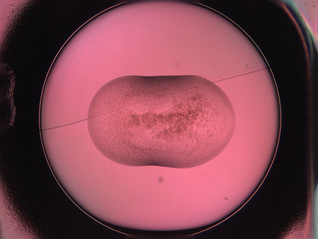 06ae_B1_ImagerDefaults_3.jpg