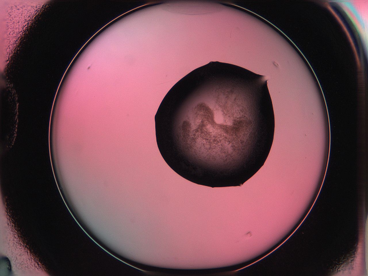 06ae_D4_ImagerDefaults_3.jpg