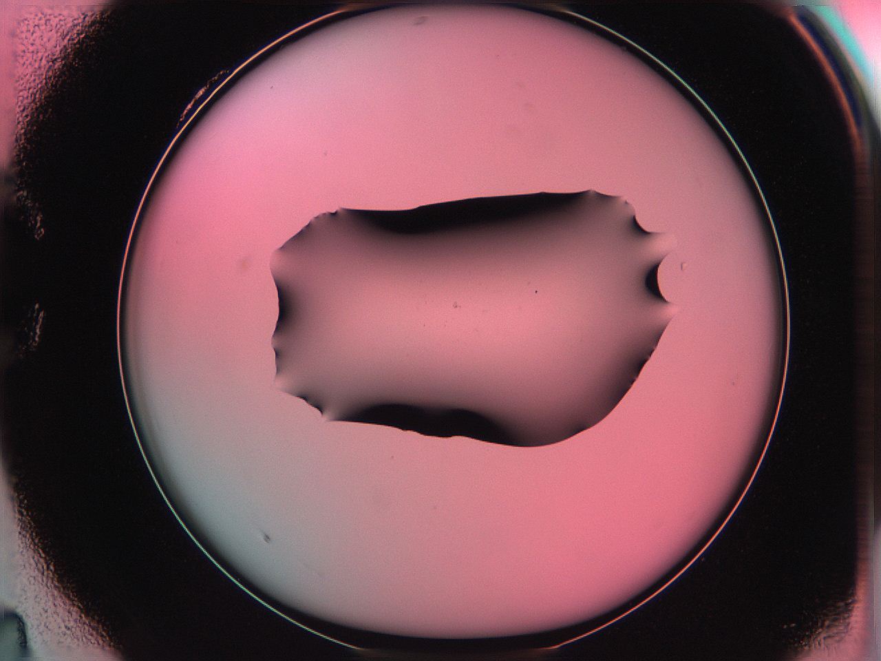 06ae_C4_ImagerDefaults_0.jpg