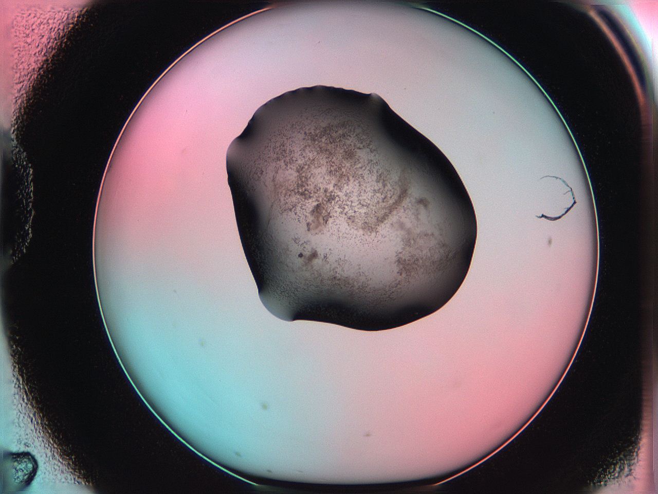 06ae_D7_ImagerDefaults_3.jpg