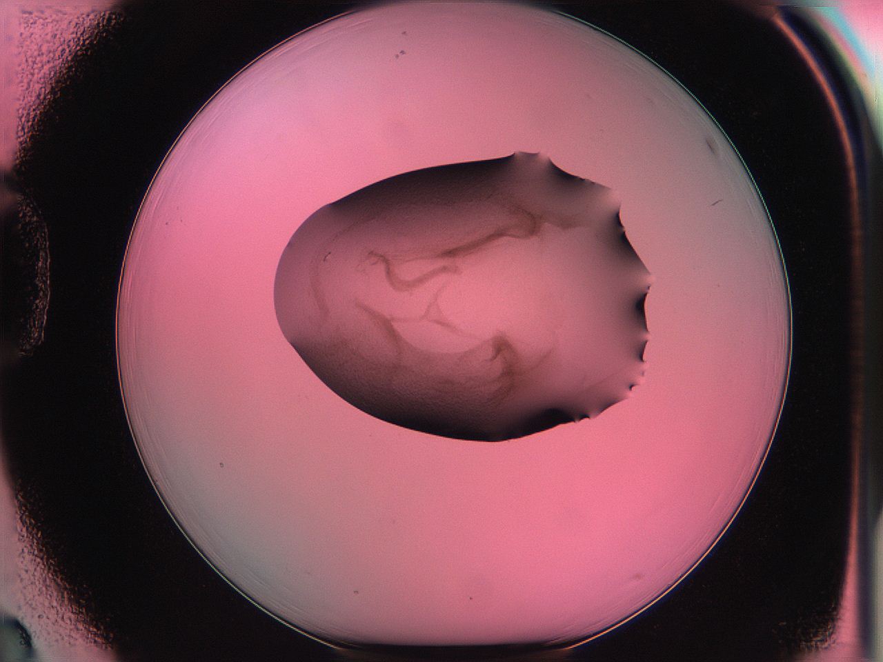 06ae_D3_ImagerDefaults_3.jpg