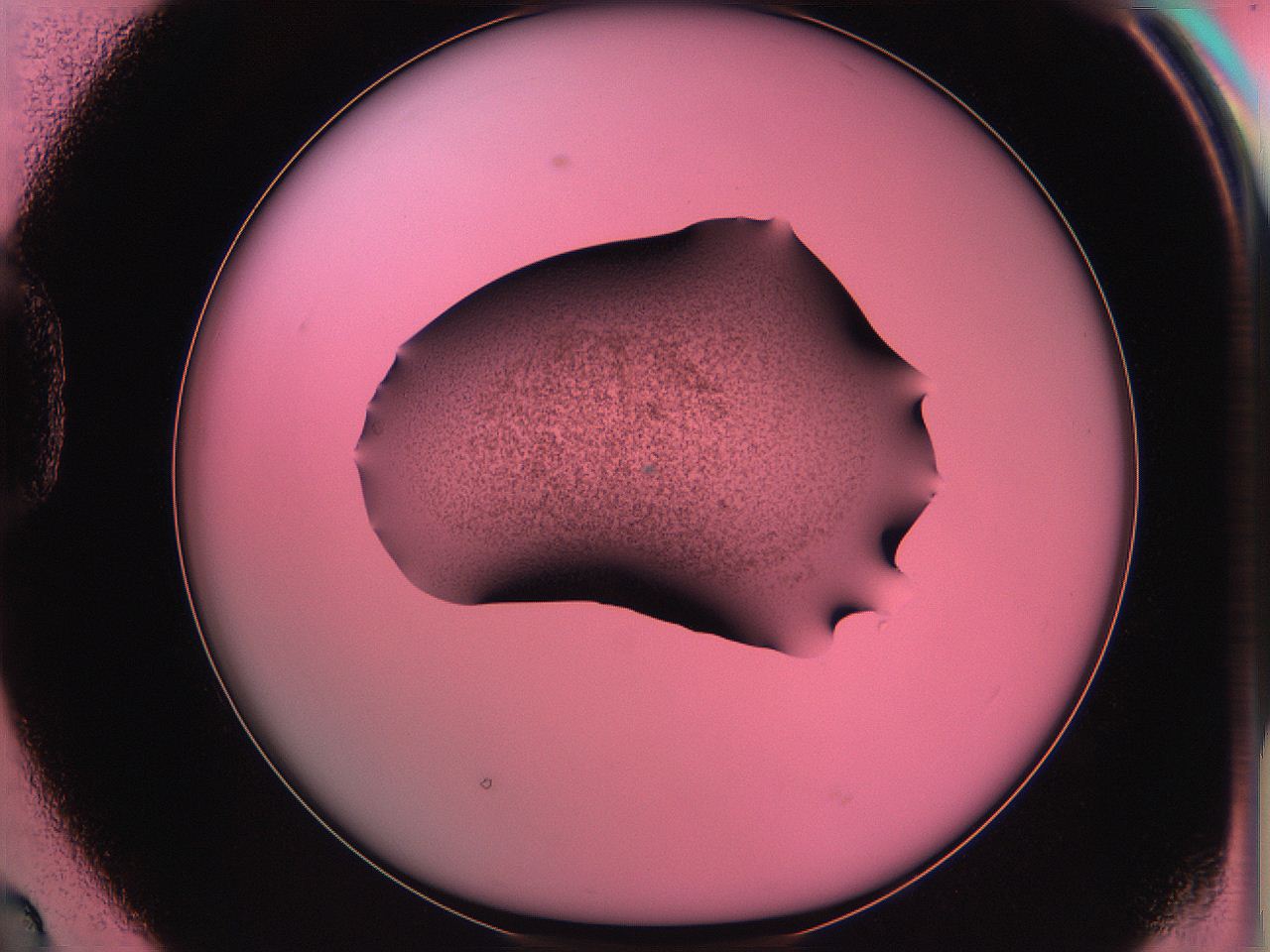 06ae_D2_ImagerDefaults_3.jpg