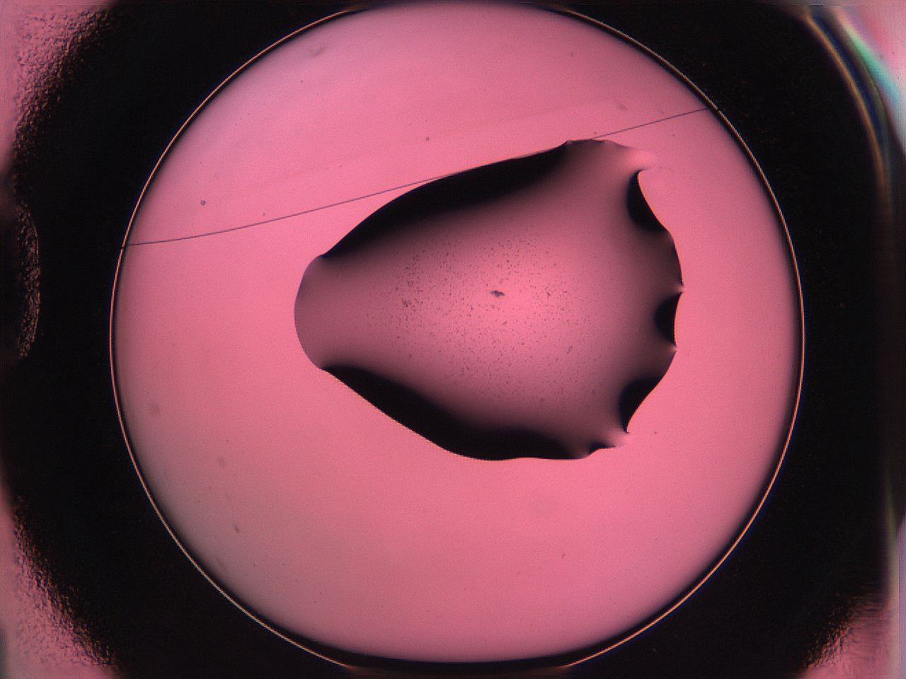 06ae_D1_ImagerDefaults_0.jpg