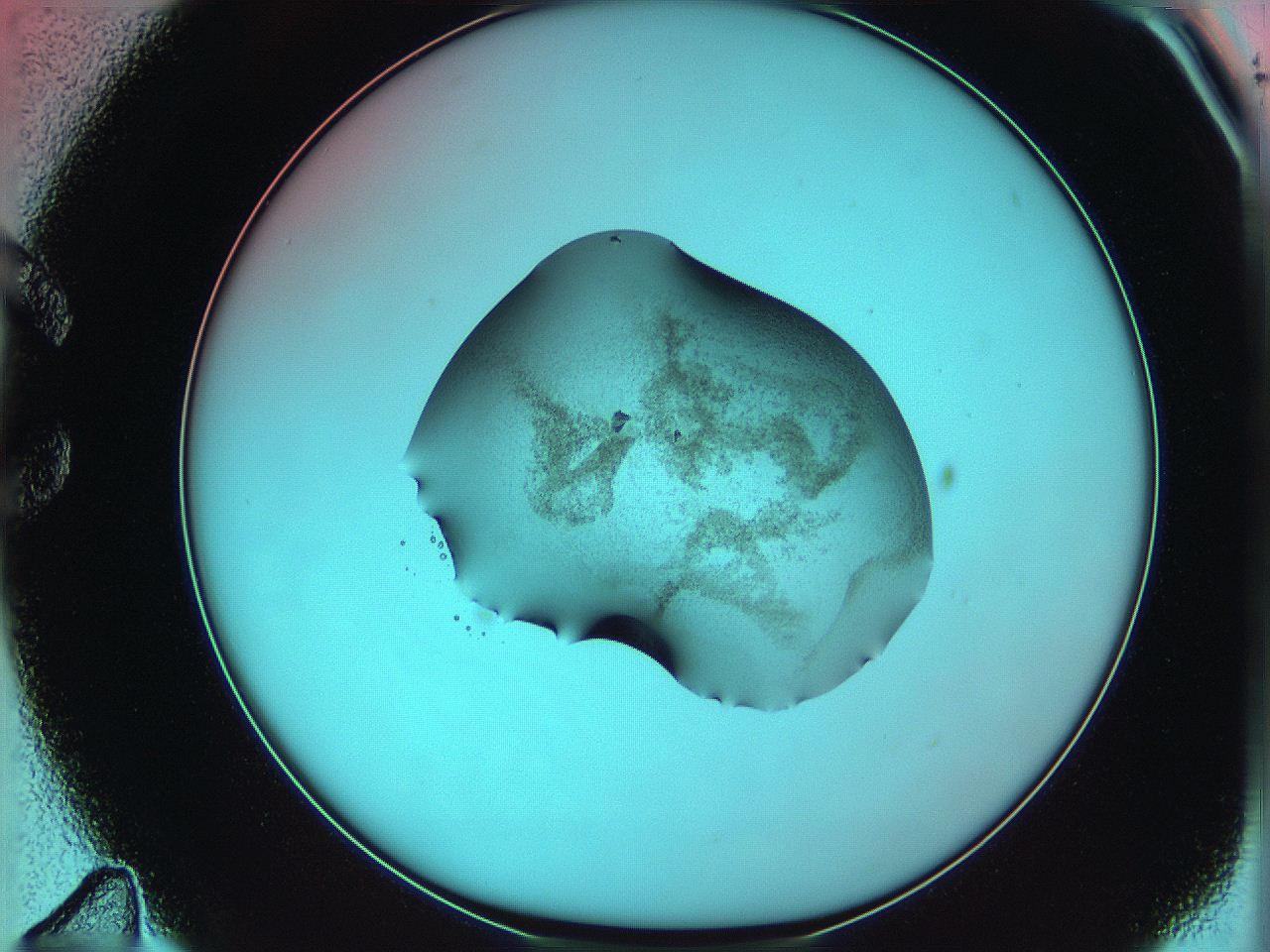 06ae_C11_ImagerDefaults_3.jpg