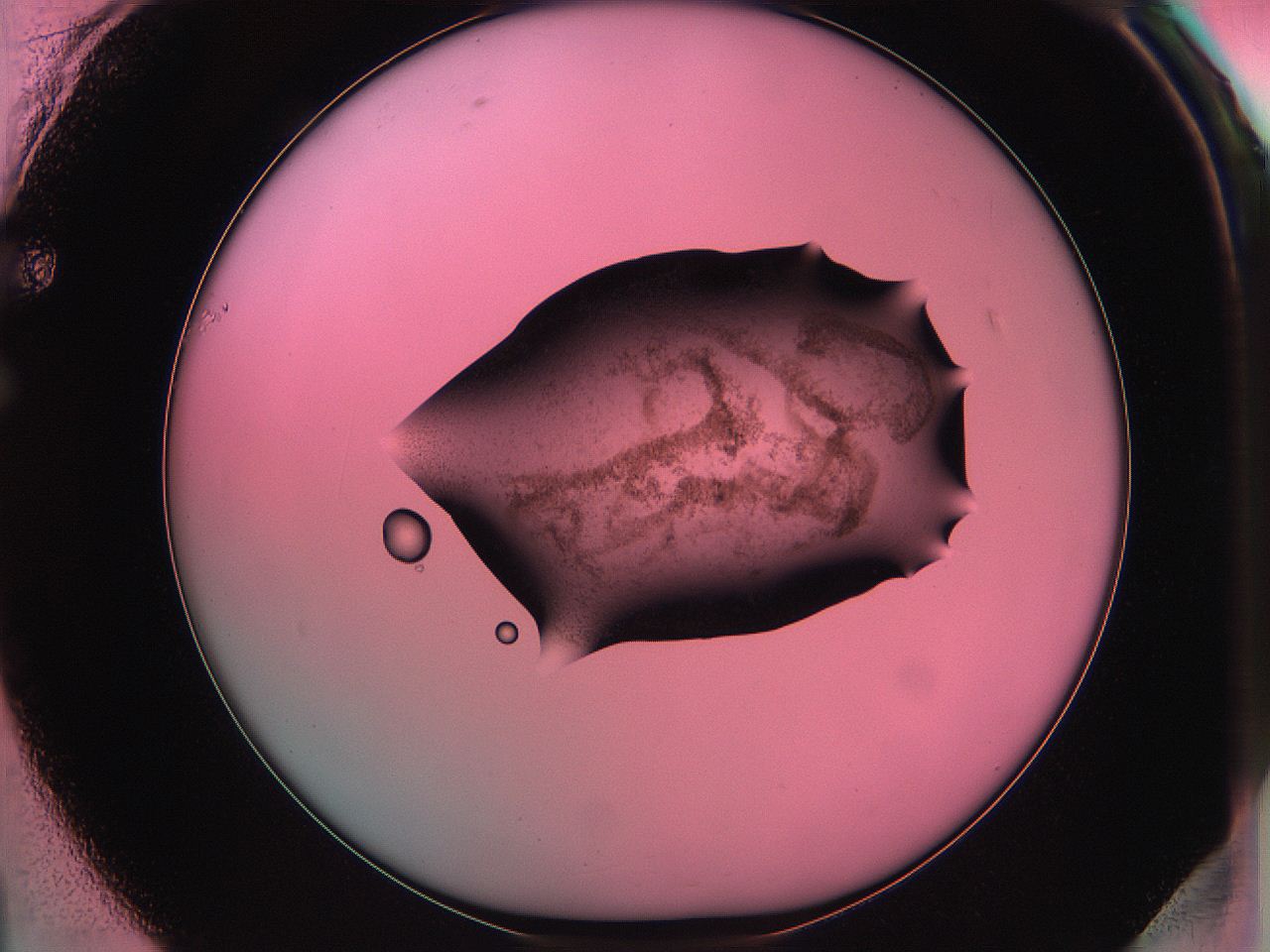 06ae_F1_ImagerDefaults_3.jpg