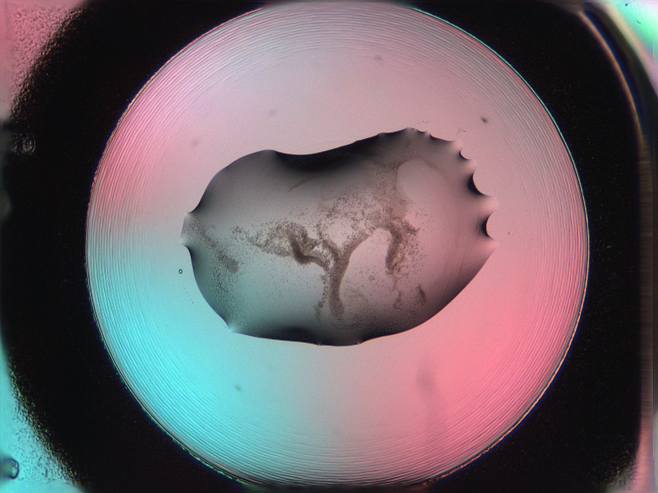 06ae_F5_ImagerDefaults_3.jpg