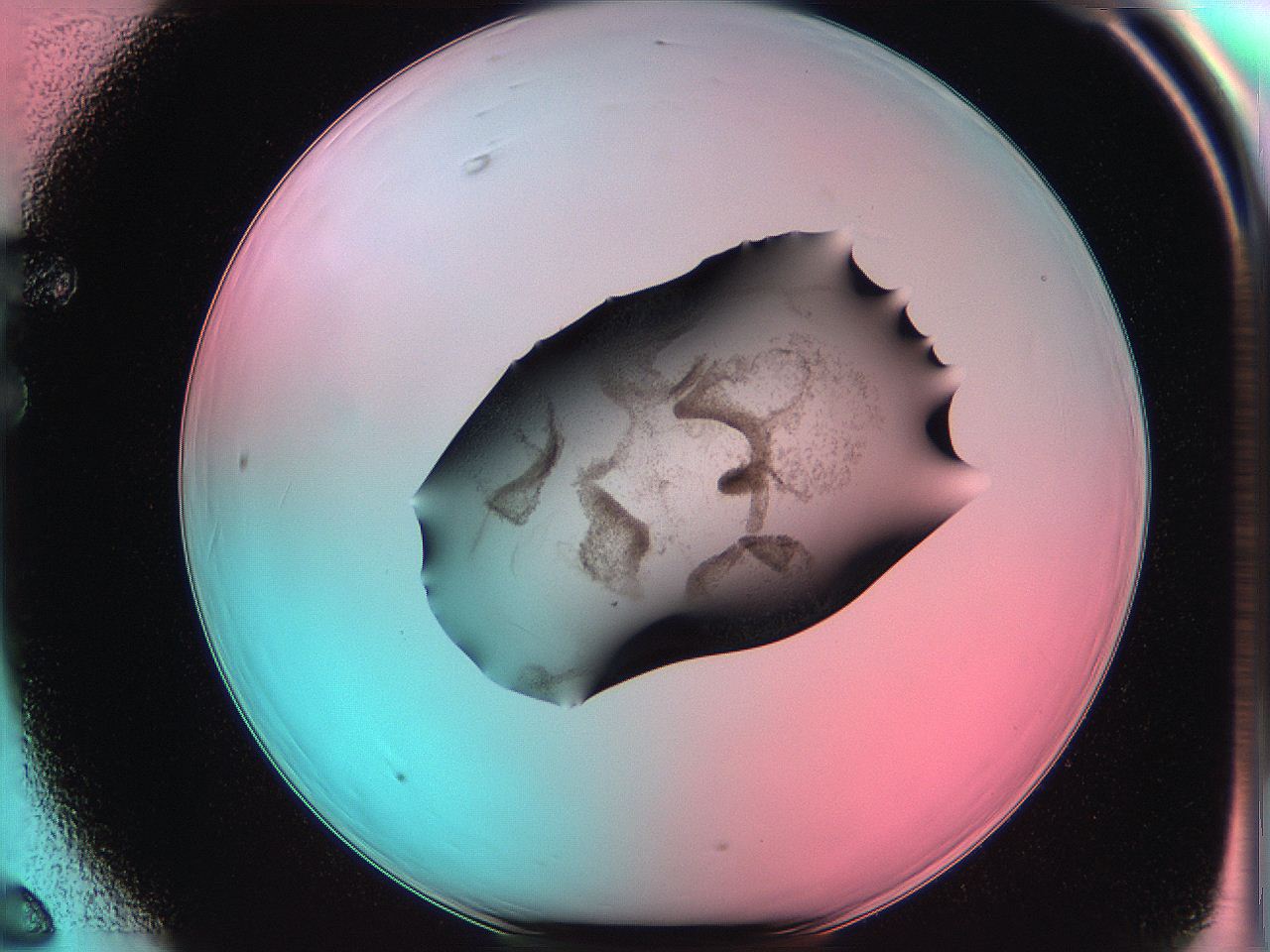 06ae_F6_ImagerDefaults_3.jpg
