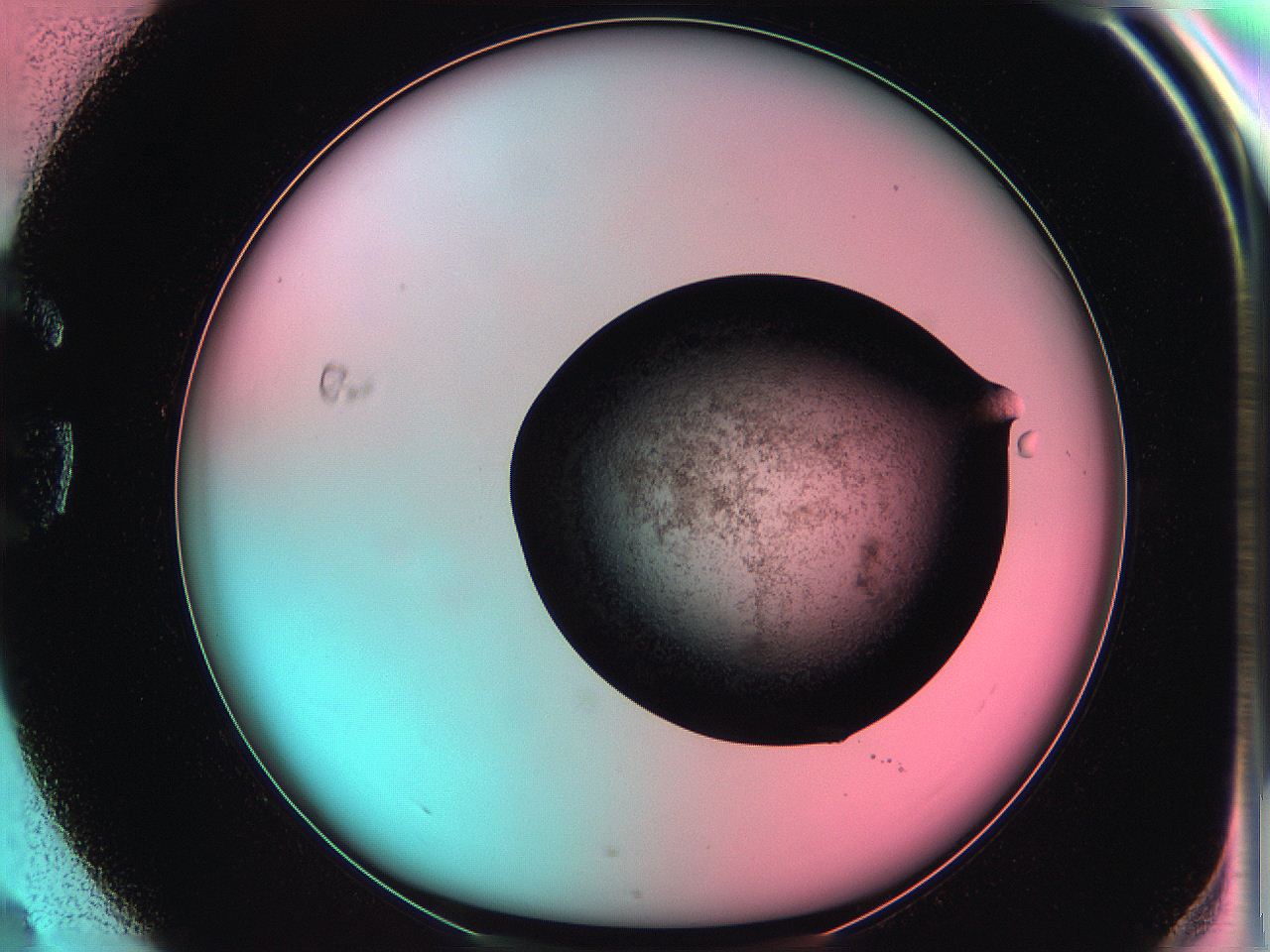 06ae_G4_ImagerDefaults_3.jpg