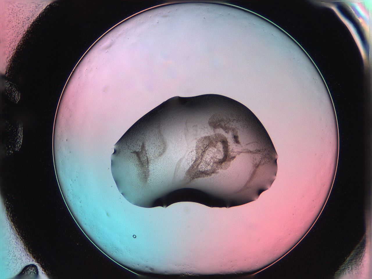 06ae_G11_ImagerDefaults_3.jpg