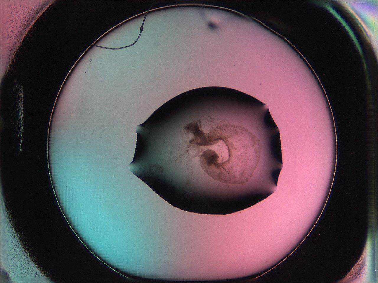 06ae_H4_ImagerDefaults_3.jpg