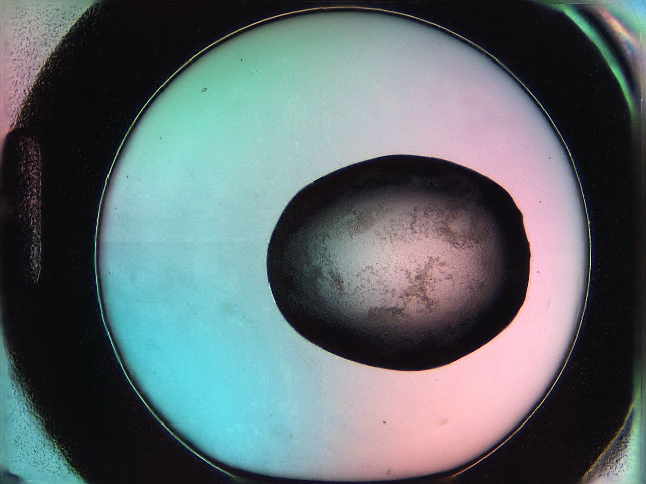 06ae_H9_ImagerDefaults_3.jpg