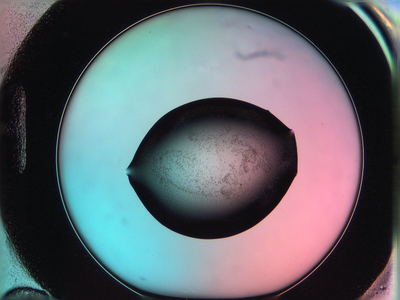 06ae_H10_ImagerDefaults_3.jpg