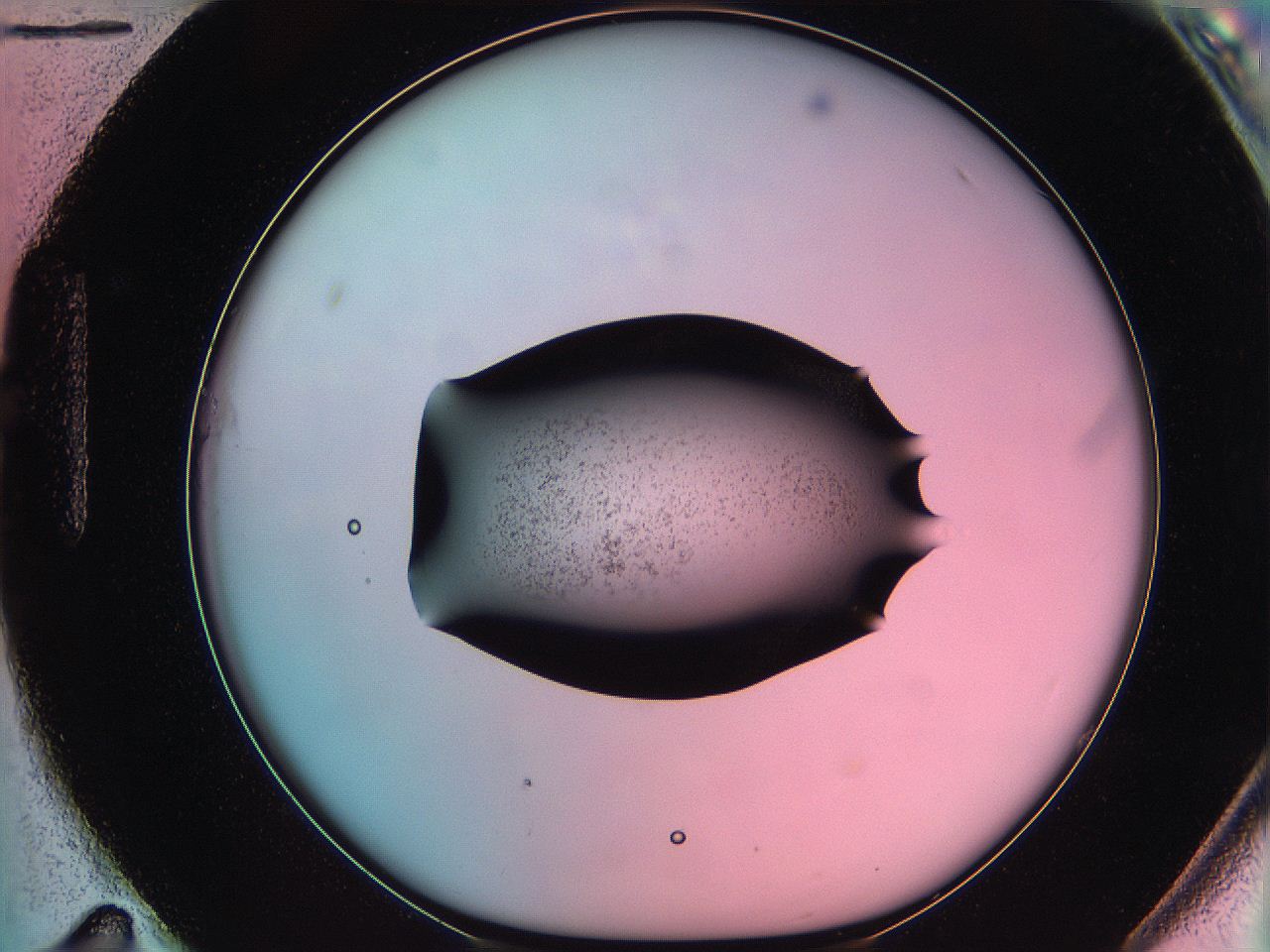 06ae_H11_ImagerDefaults_3.jpg