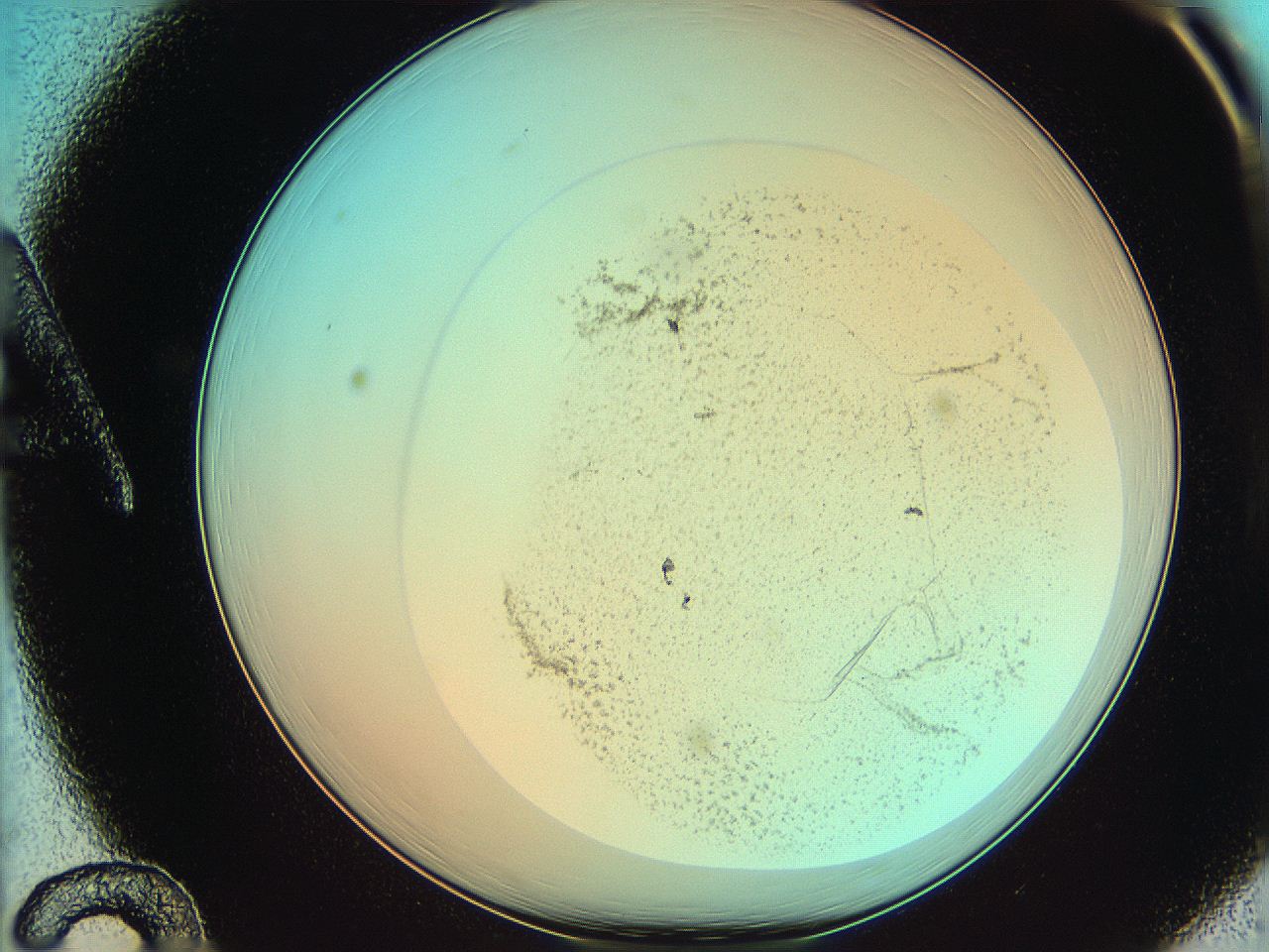 06af_A12_ImagerDefaults_3.jpg