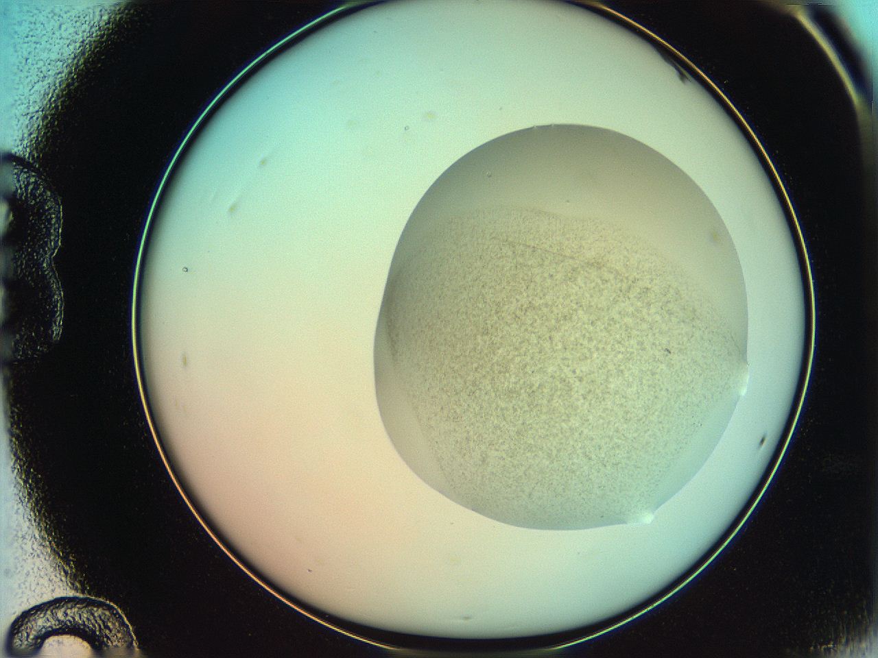 06af_B12_ImagerDefaults_3.jpg