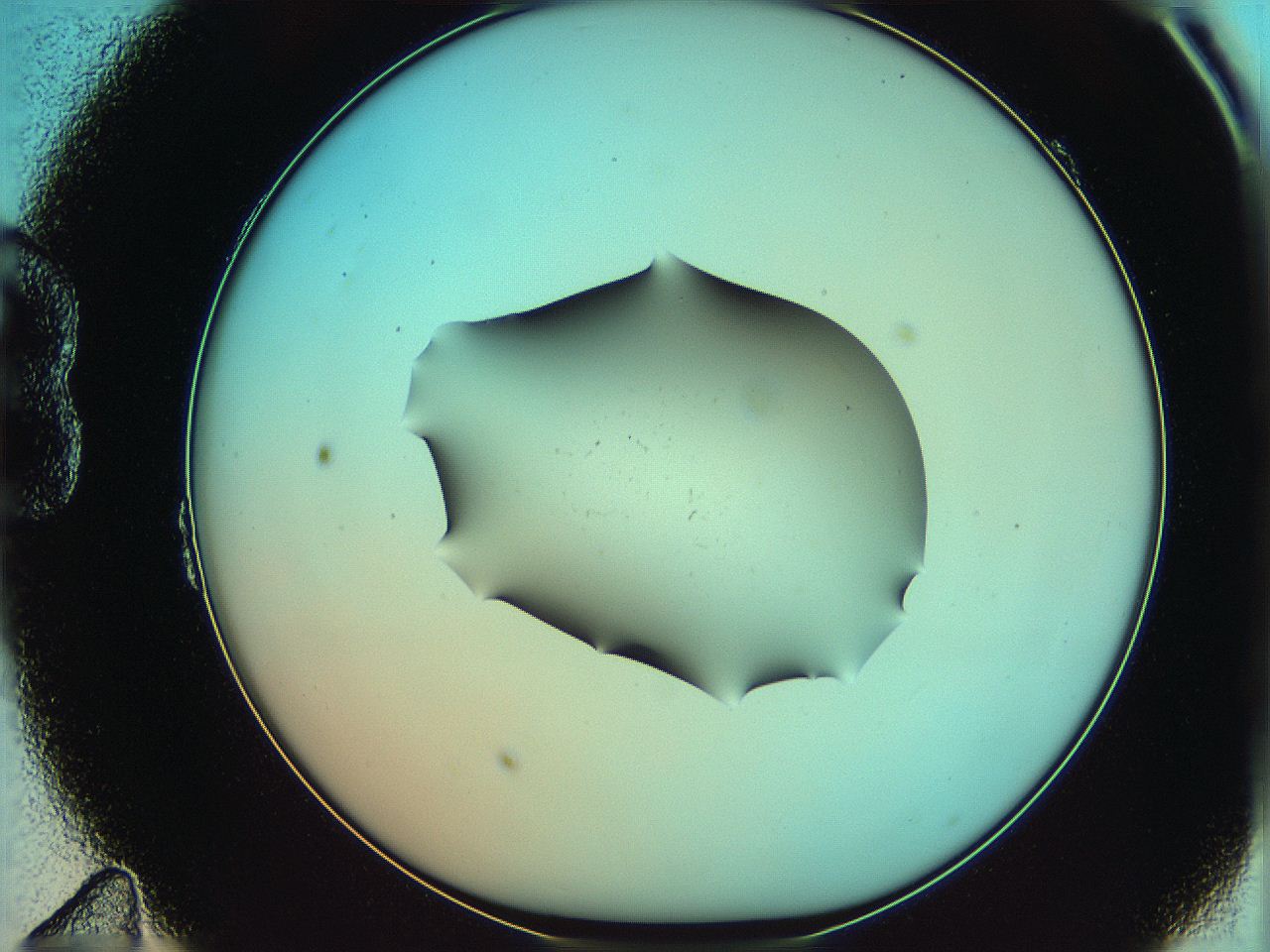 06af_B11_ImagerDefaults_0.jpg