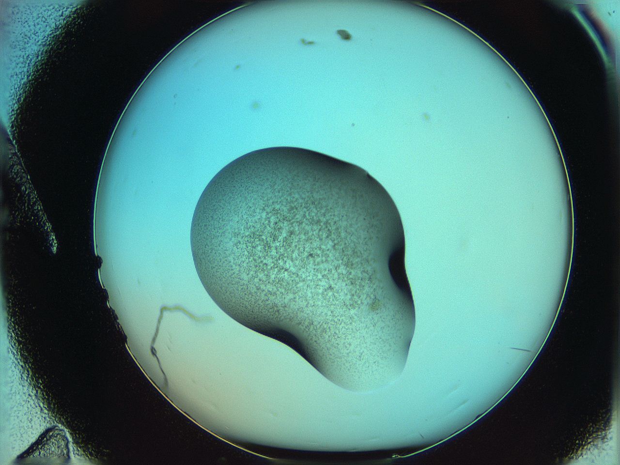 06af_A11_ImagerDefaults_3.jpg